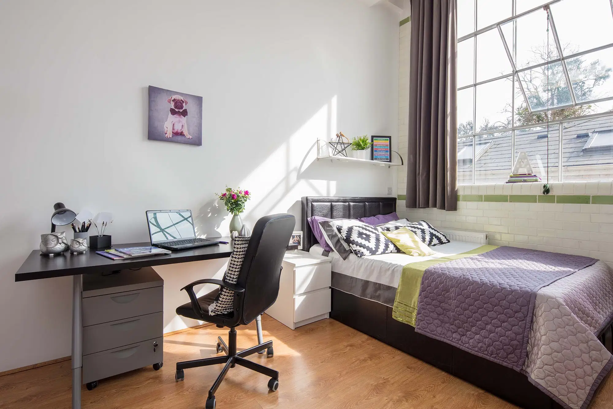 Smart Student Accommodation, London
