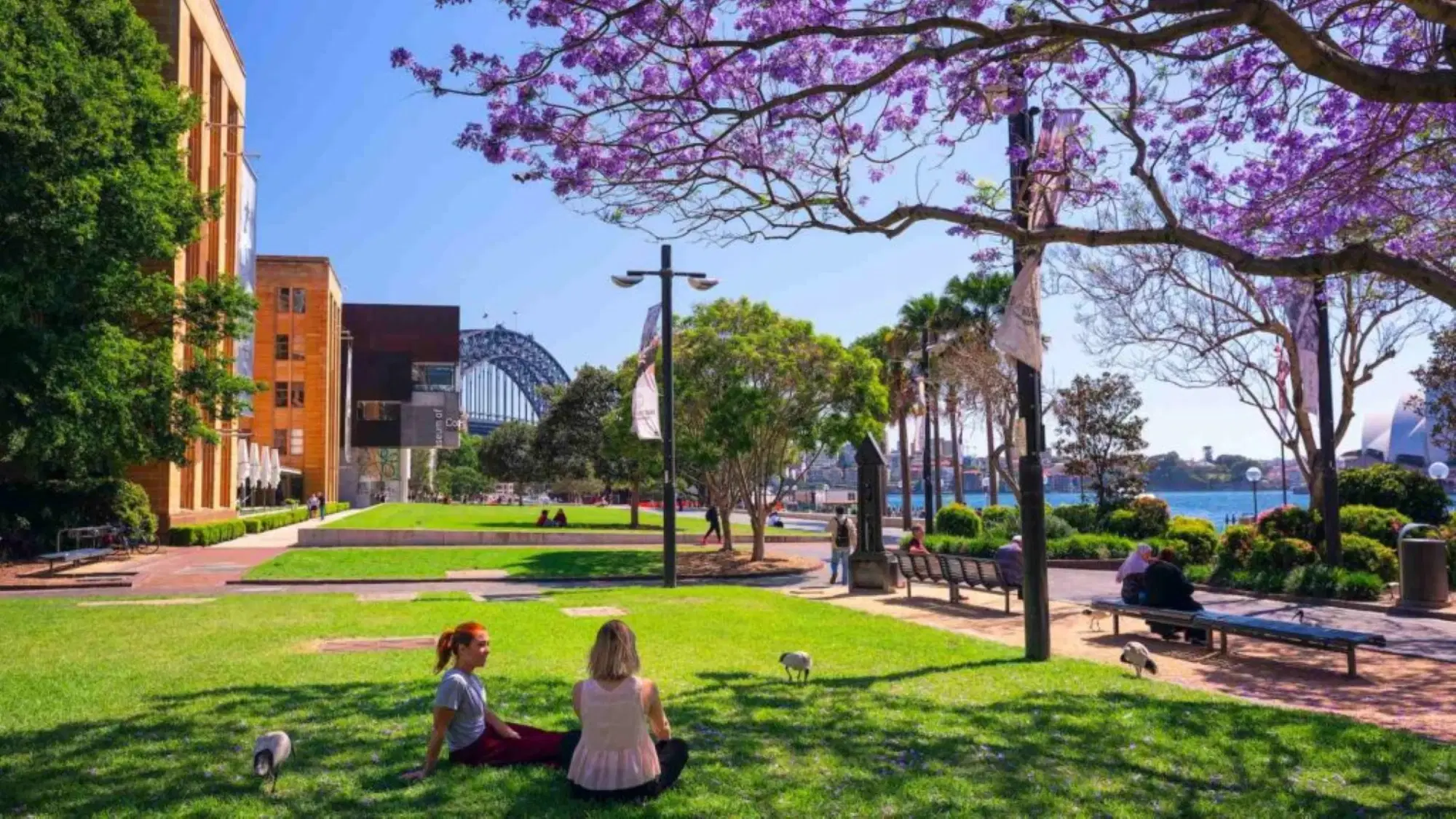 Insulr Glebe High, Sydney – Exterior