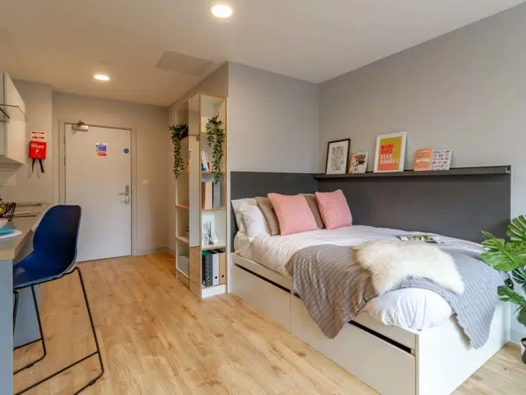 The West Wing, Cardiff – Deluxe Penthouse