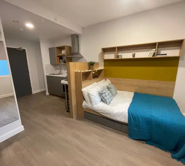 Hillfort House, Brighton – Studio Bronze
