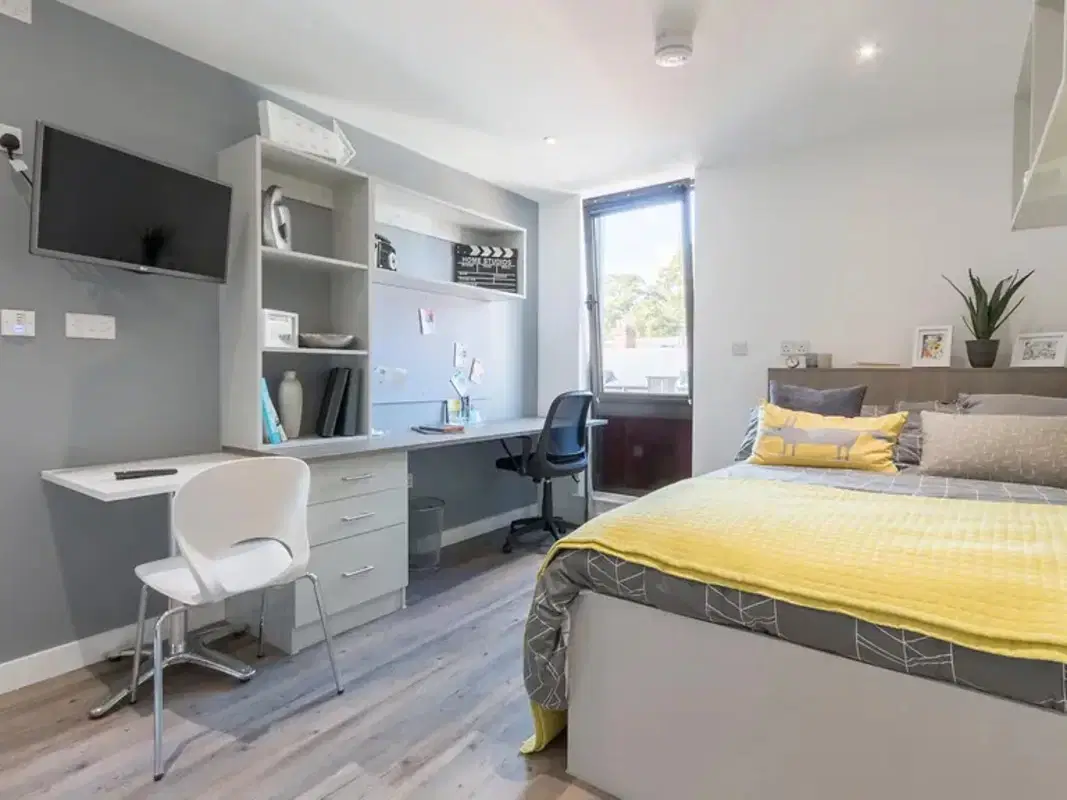 Glendower House, Cardiff – Premium Gold Studio