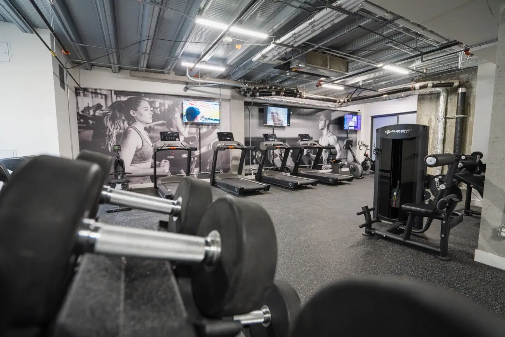 Palay, Montreal – Amenities