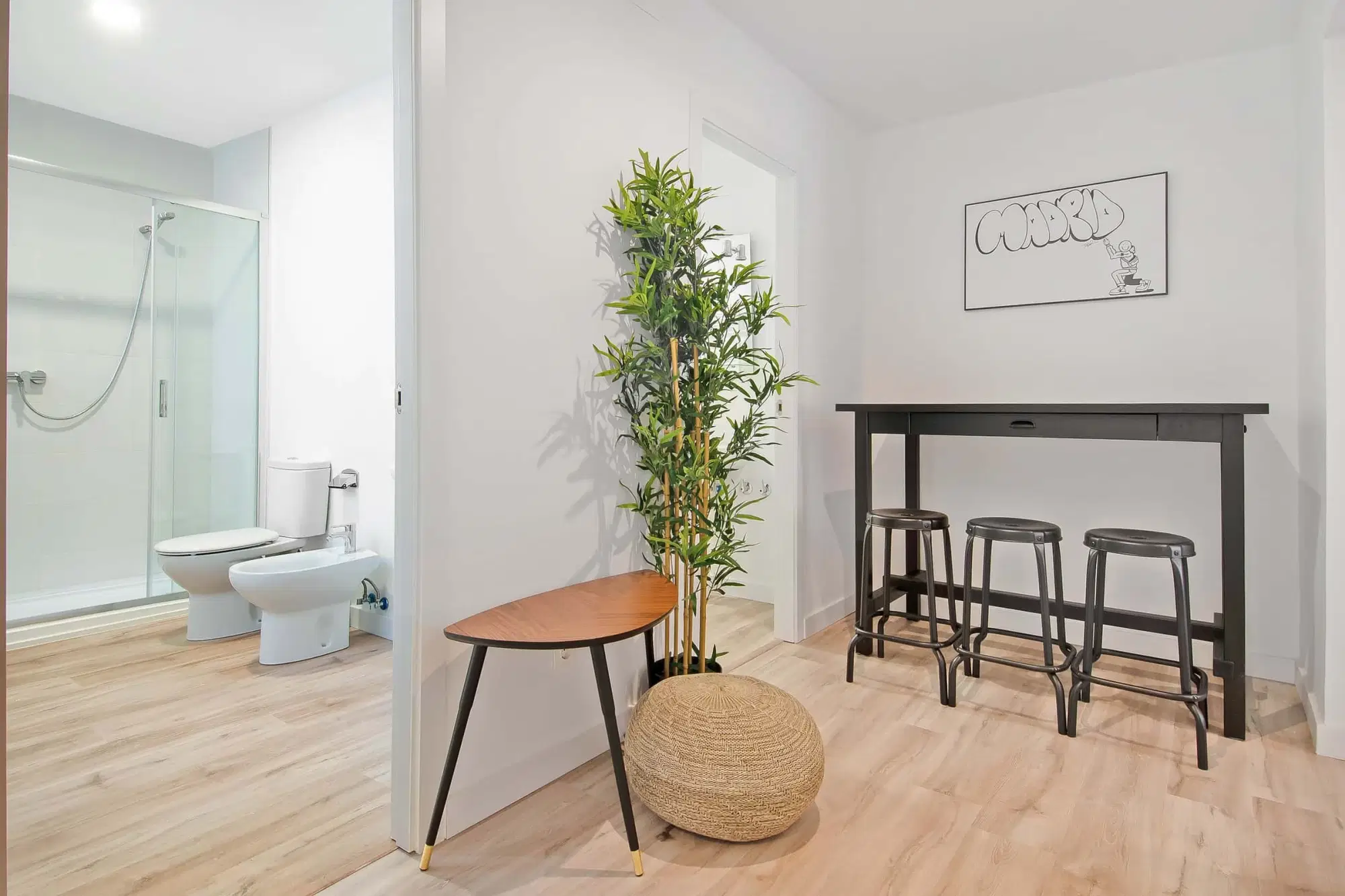 SPC 28004, Madrid – Common Area