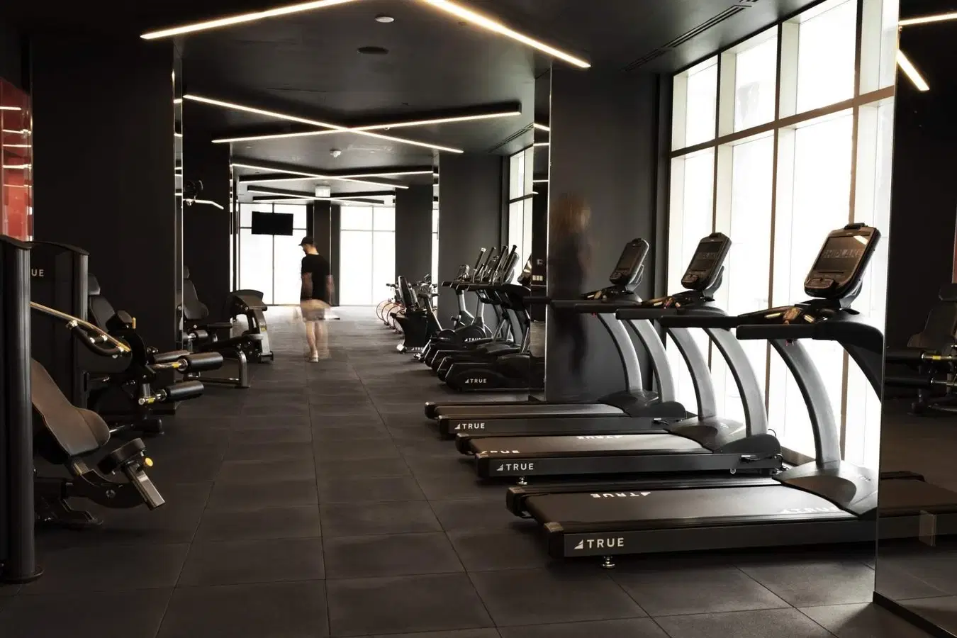 YVR M4, Toronto – Amenities