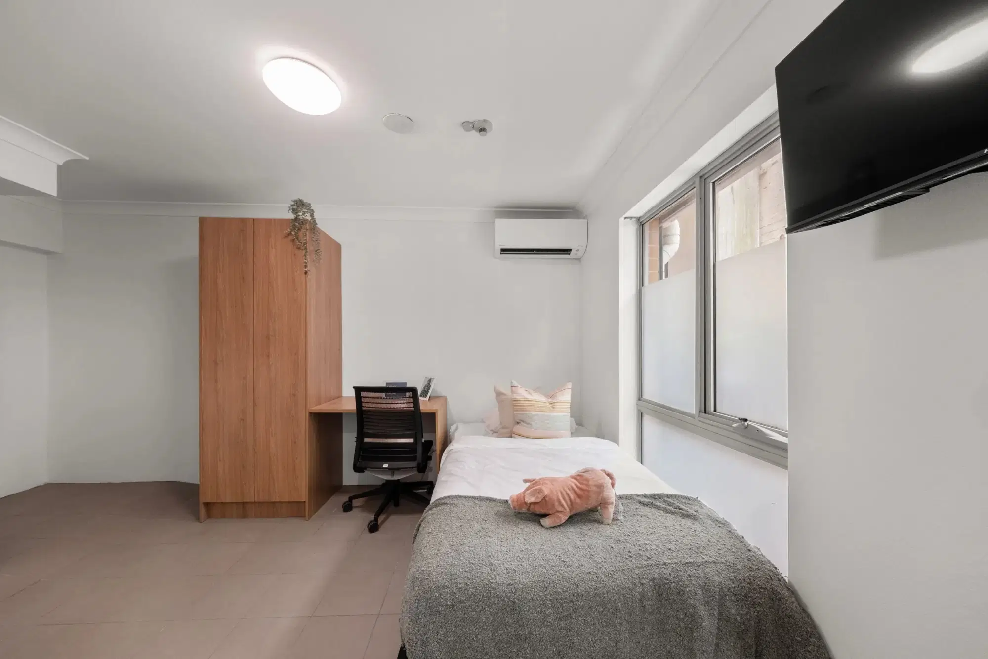 Castle Student Accommodation Dulwich Hill, Sydney – Deluxe Single Studio I