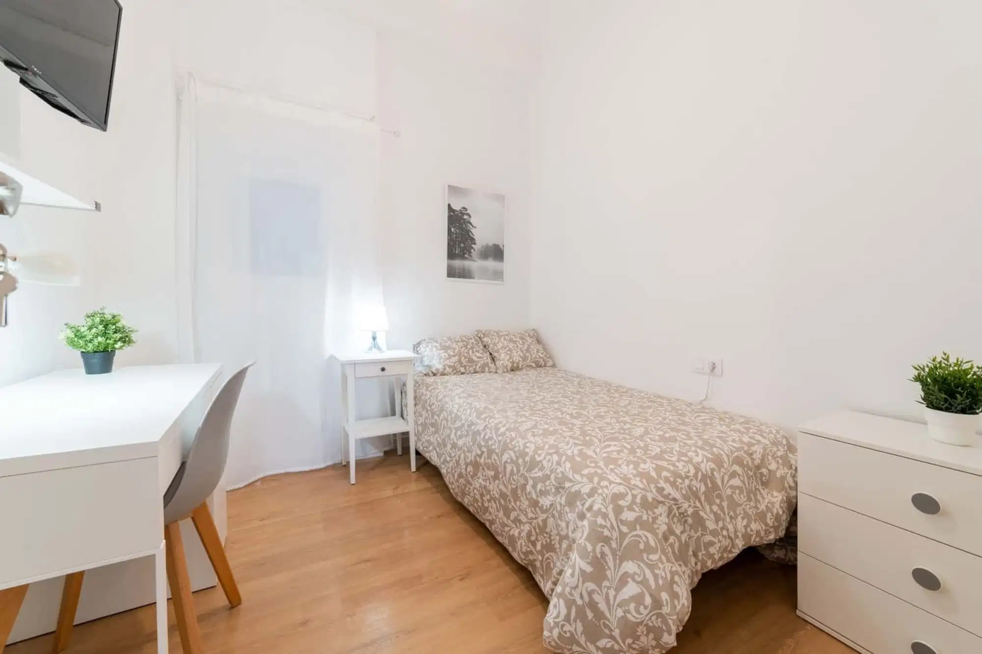 SPC 46007, Valencia