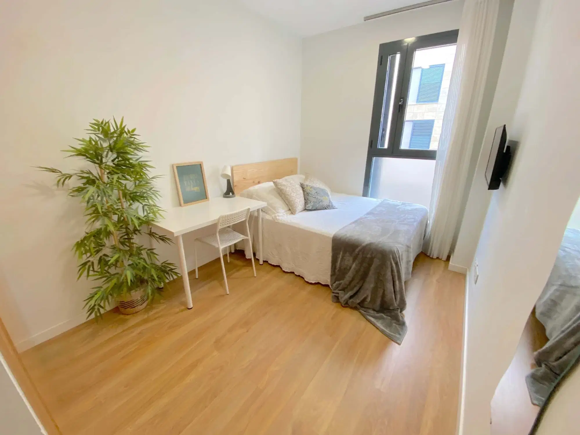 SPC 41003, Sevilla – #130165: Room in 5 Bedroom 2 Bathroom (Calle Aceituno)