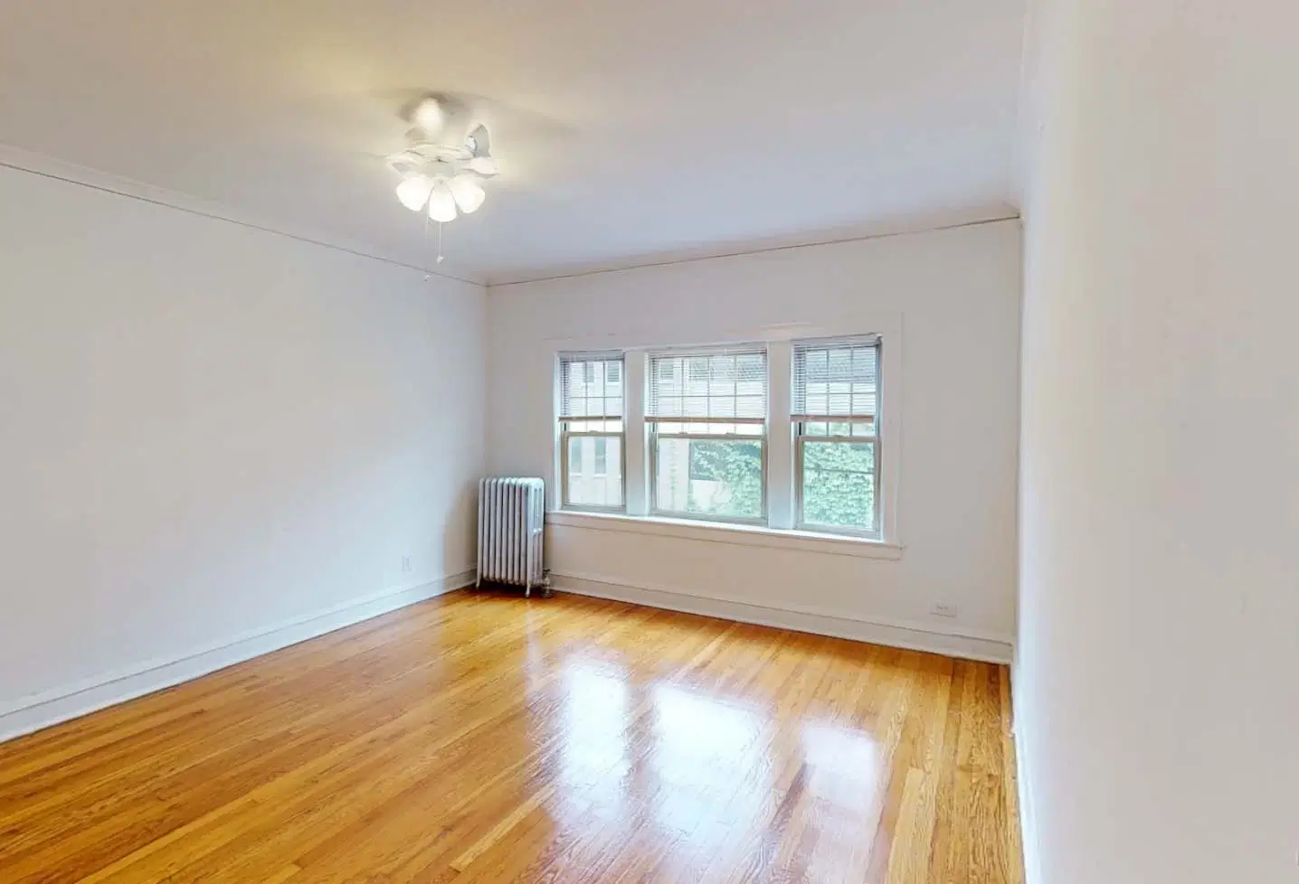 5528 S. Cornell Avenue, Chicago – Common Area