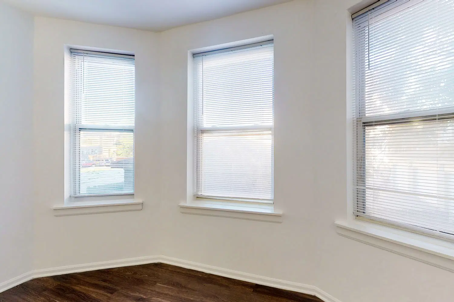 925 East 46th Street, Chicago – Amenities