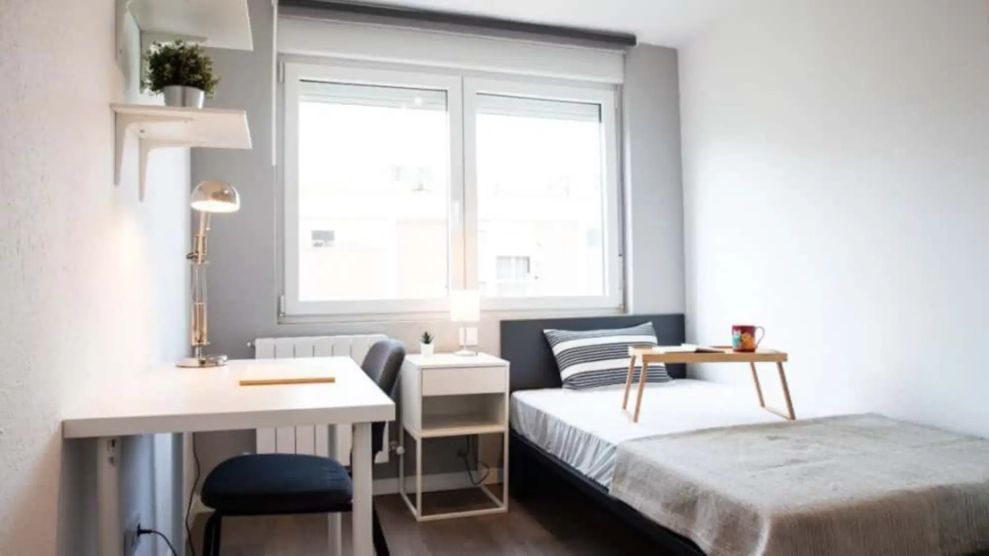 SPC 28019, Madrid