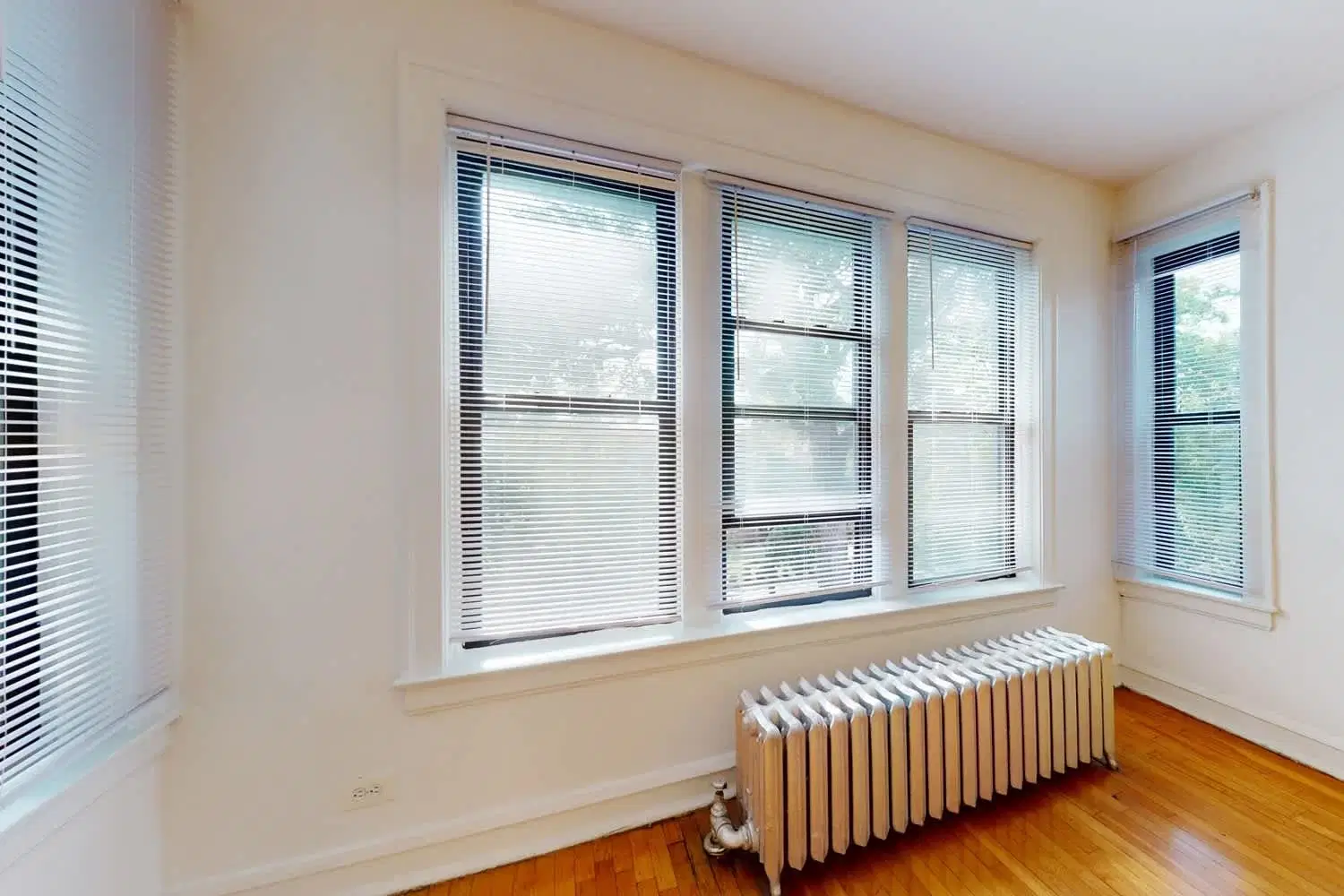 5053 S. Ellis Avenue, Chicago – Room