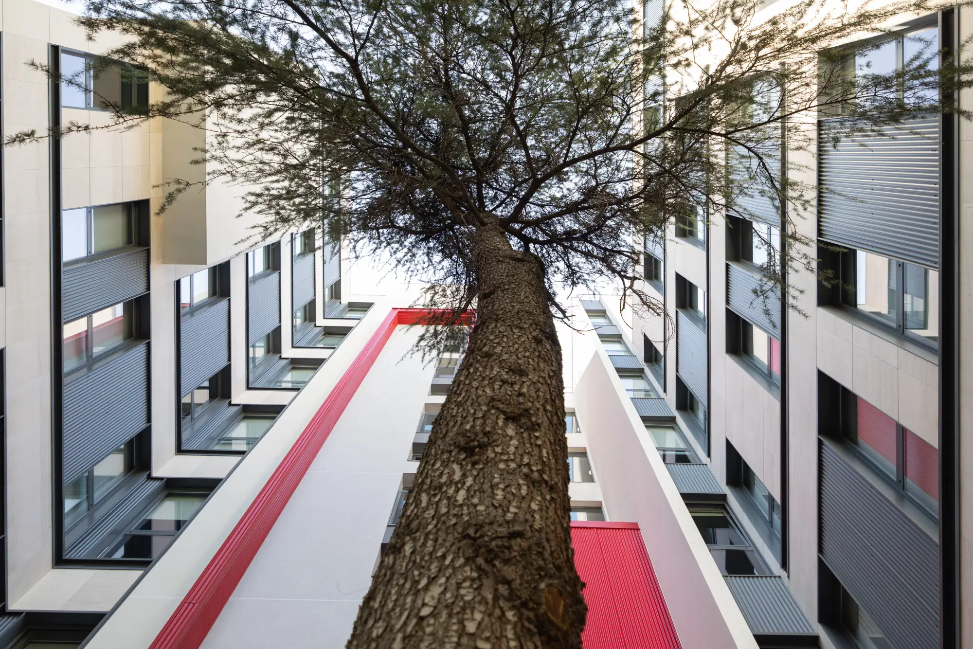 Yugo Emilia Pardo Bazán, Madrid – Exterior