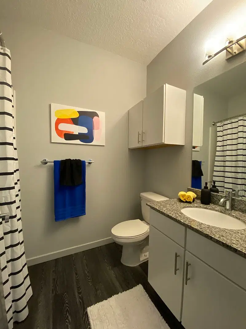 Lark Gainesville, Gainesville – Bathroom