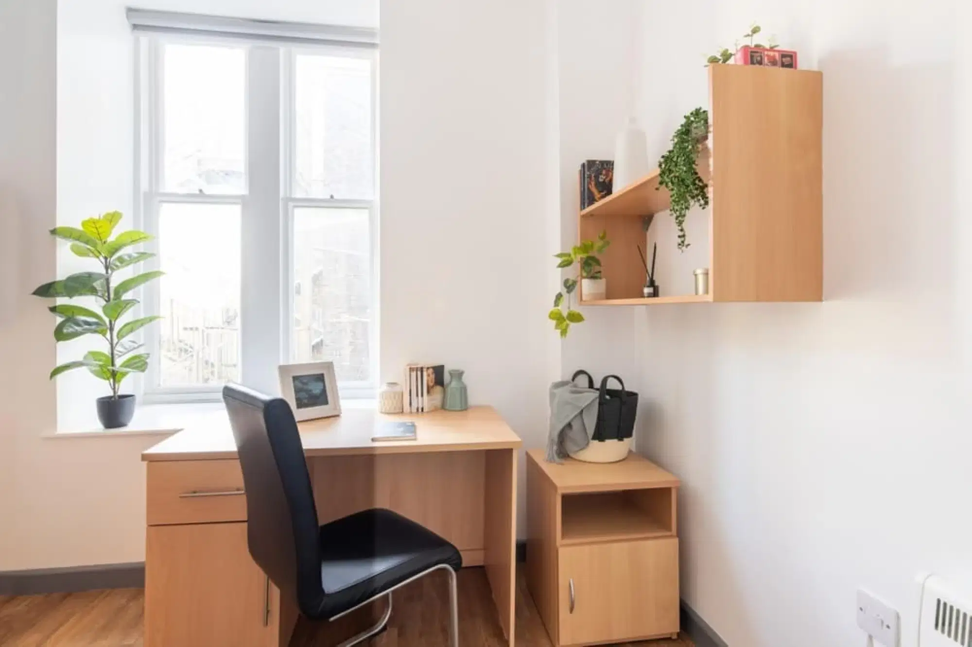 Alexandra Hall, Aberystwyth – Bronze Single Room with View