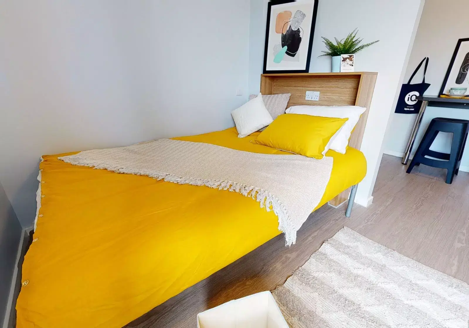 iQ Sterling Court, London – Gold Studio Premium
