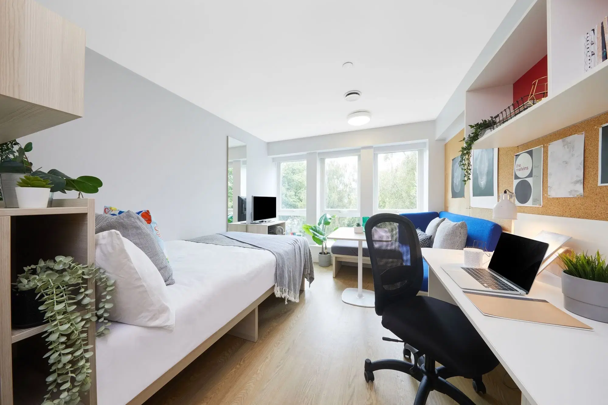 Collegiate Park House, Southampton – Gold Studio - Park View