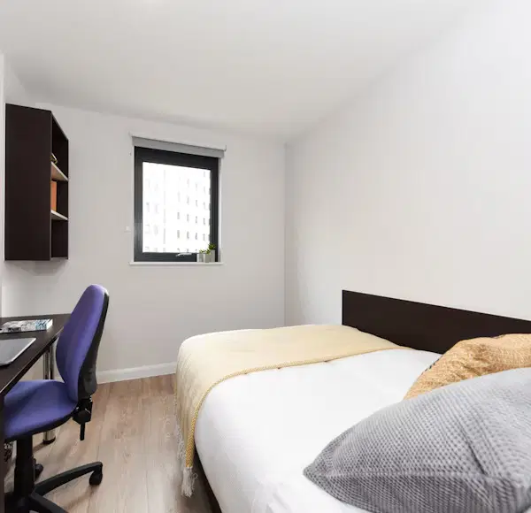 St Davids, Swansea – Ensuite Classic