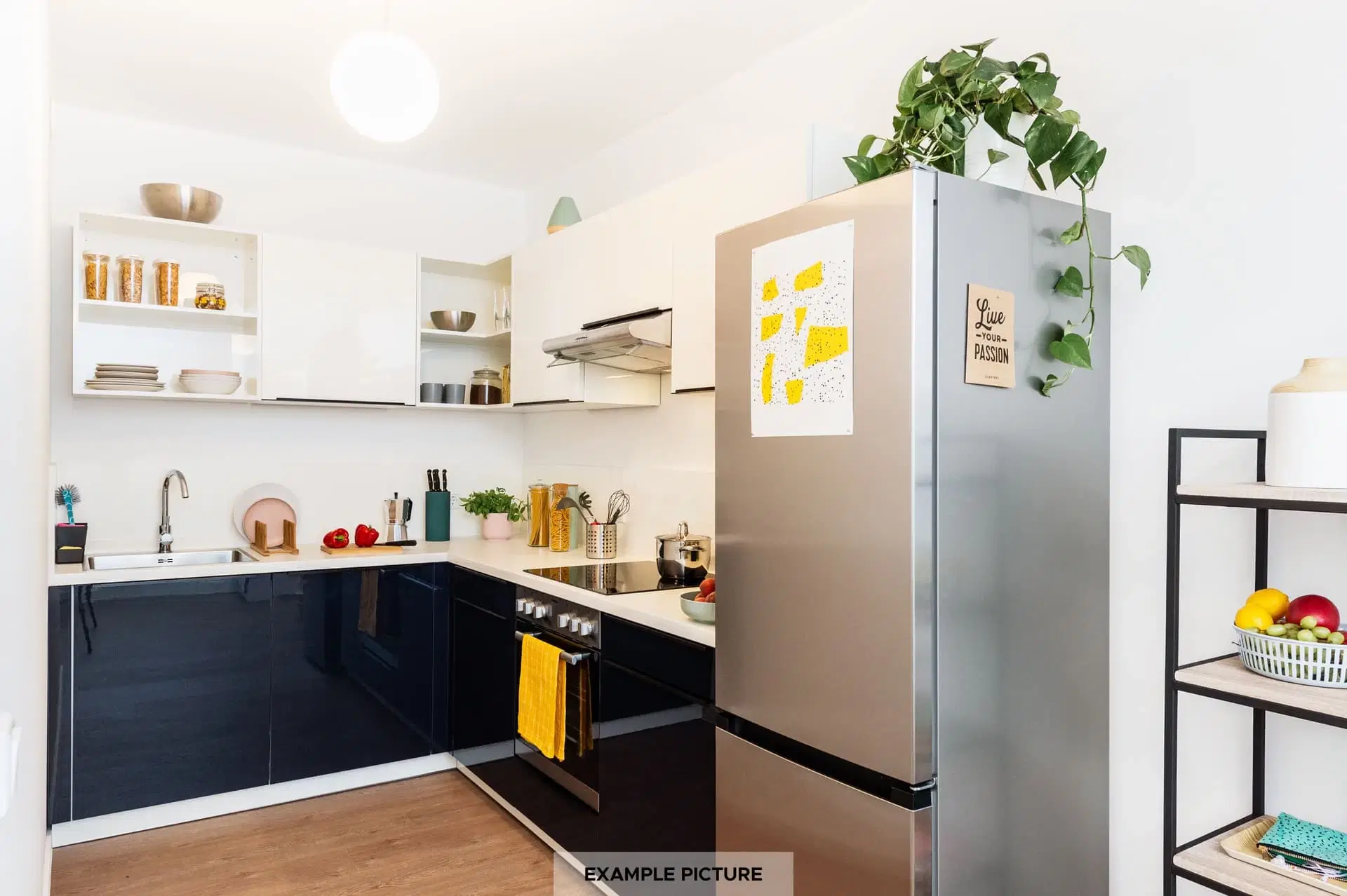 HAB 10557, Berlin – Private Room (03101)