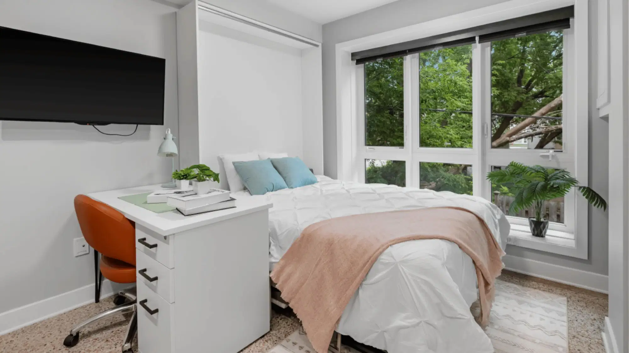 Alma Sandy Hill, Ottawa – Studio B
