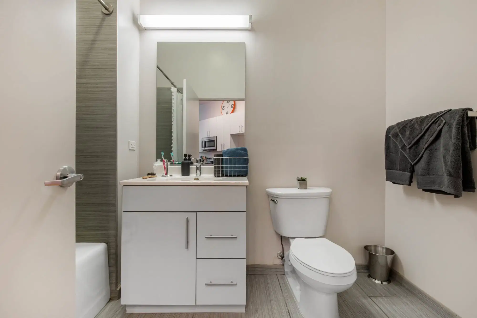 Arc at Old Colony, Chicago – Bathroom