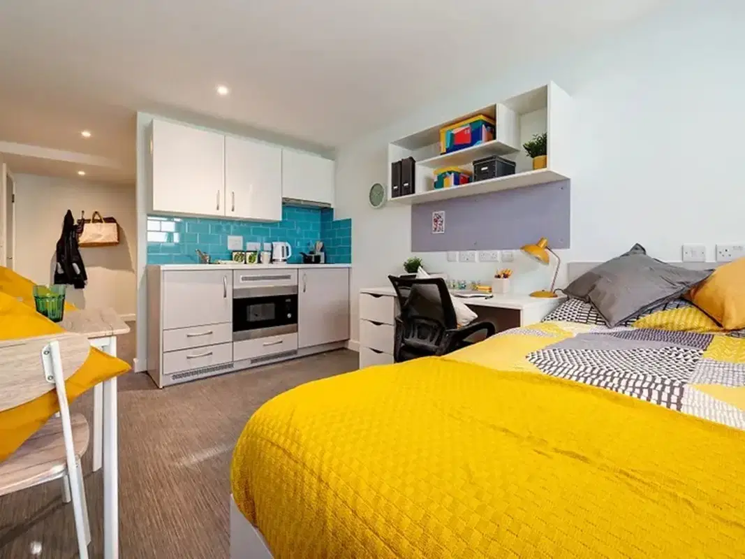 Carrick View, Falmouth – Premium Studio