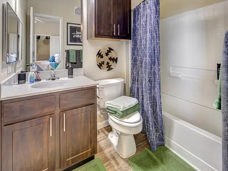 U Club Townhomes On Marion Pugh, College Station – Bathroom