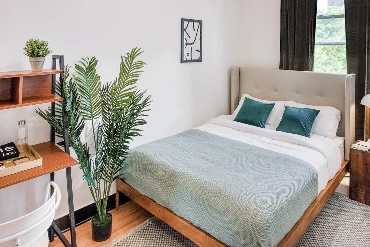 June Homes 10030, New York – #117A: Central Harlem
