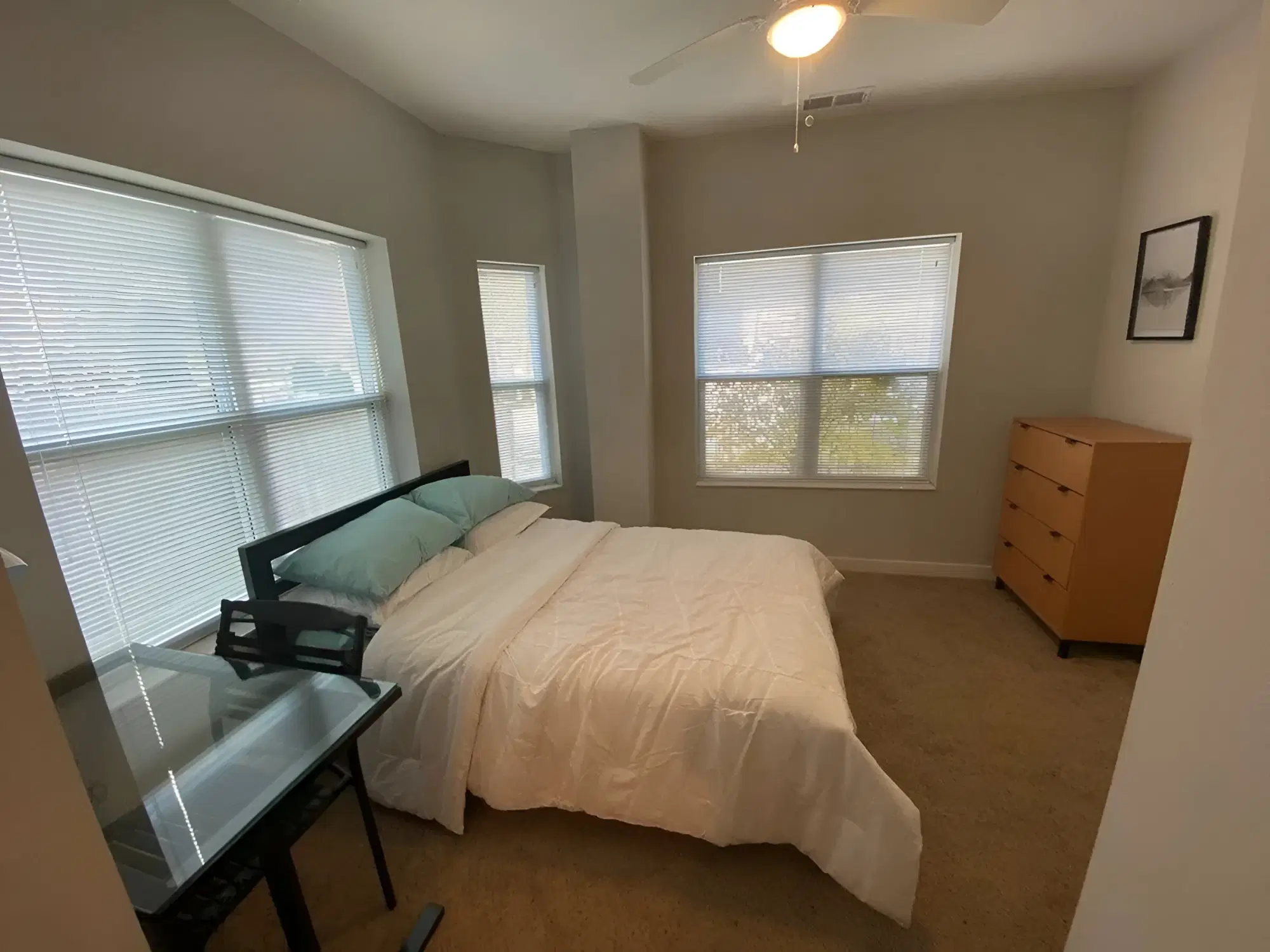 305 E. Daniel, Champaign – Room in 3 Bedroom 3 Bathroom | A