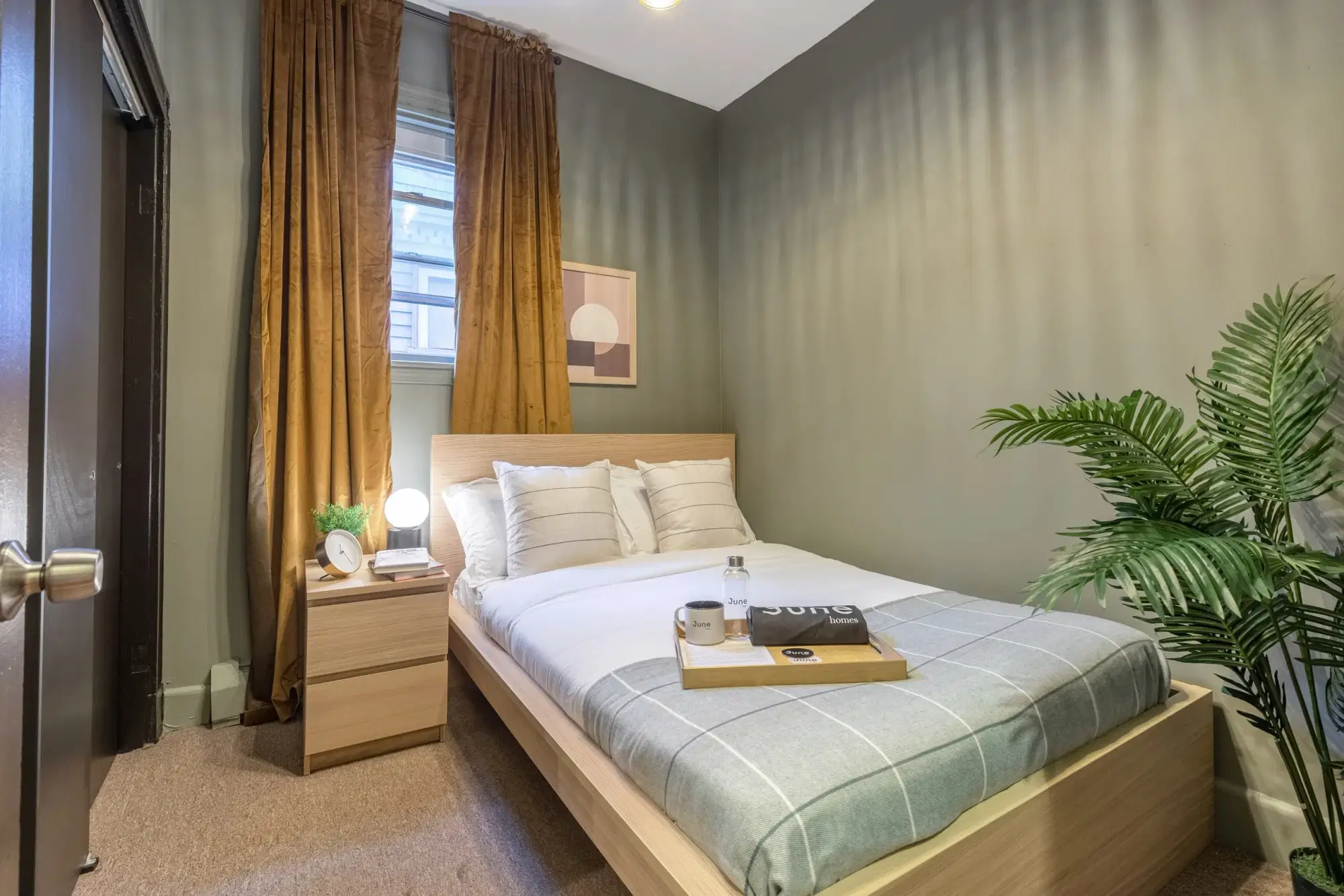 June Homes 02120, Boston – #255A: Mission Hill