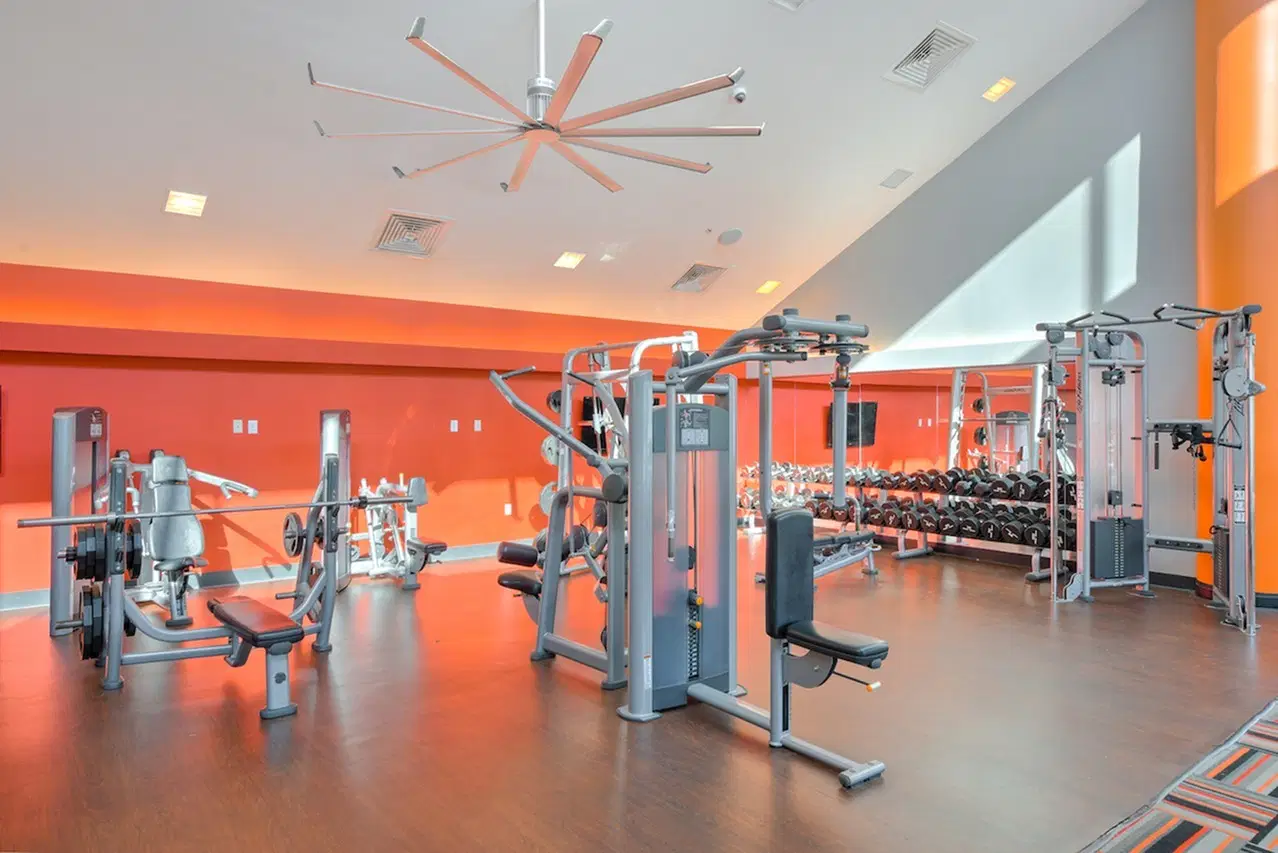 The Maddox, Lubbock – Amenities