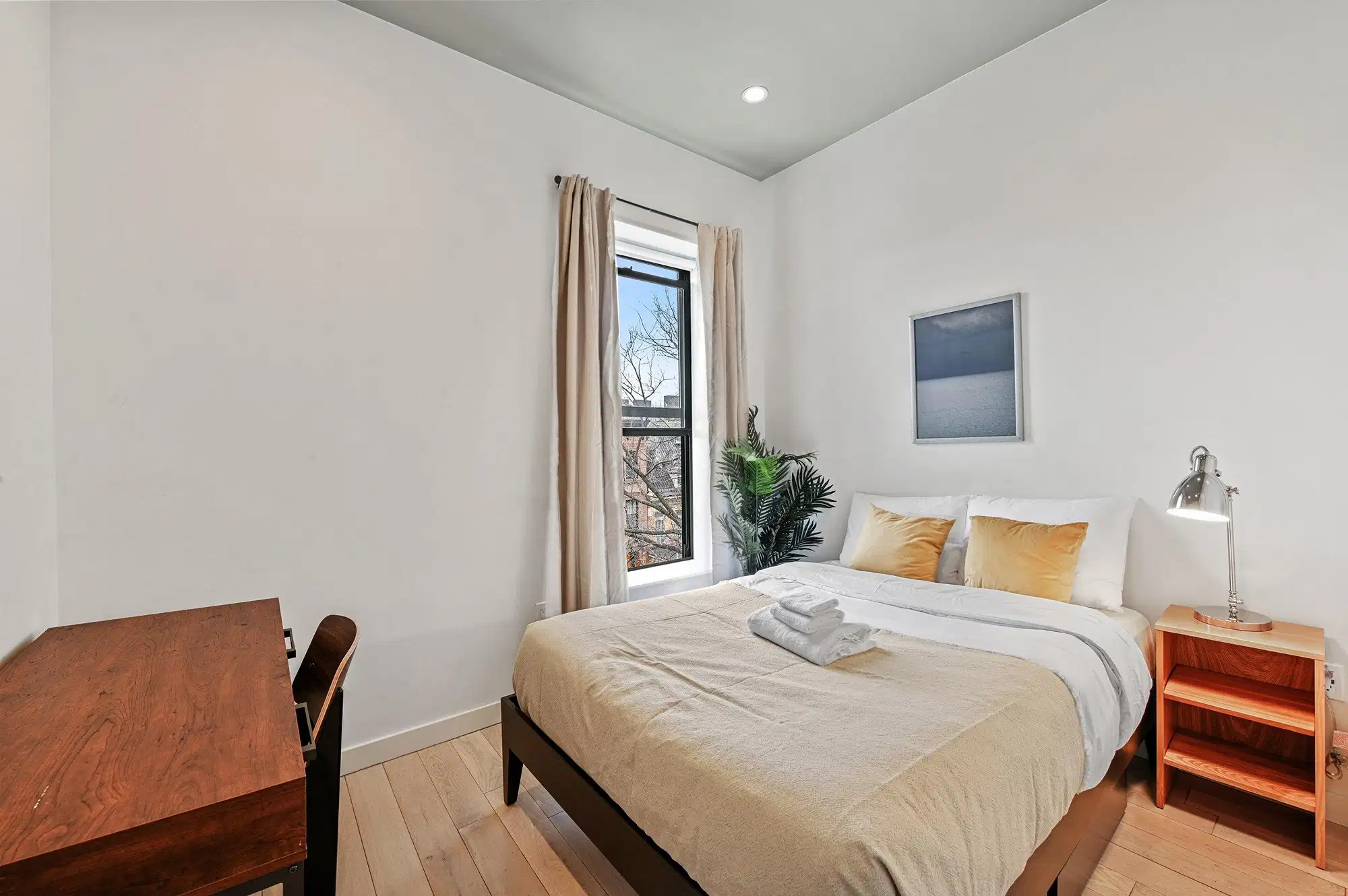 June Homes 11206, New York