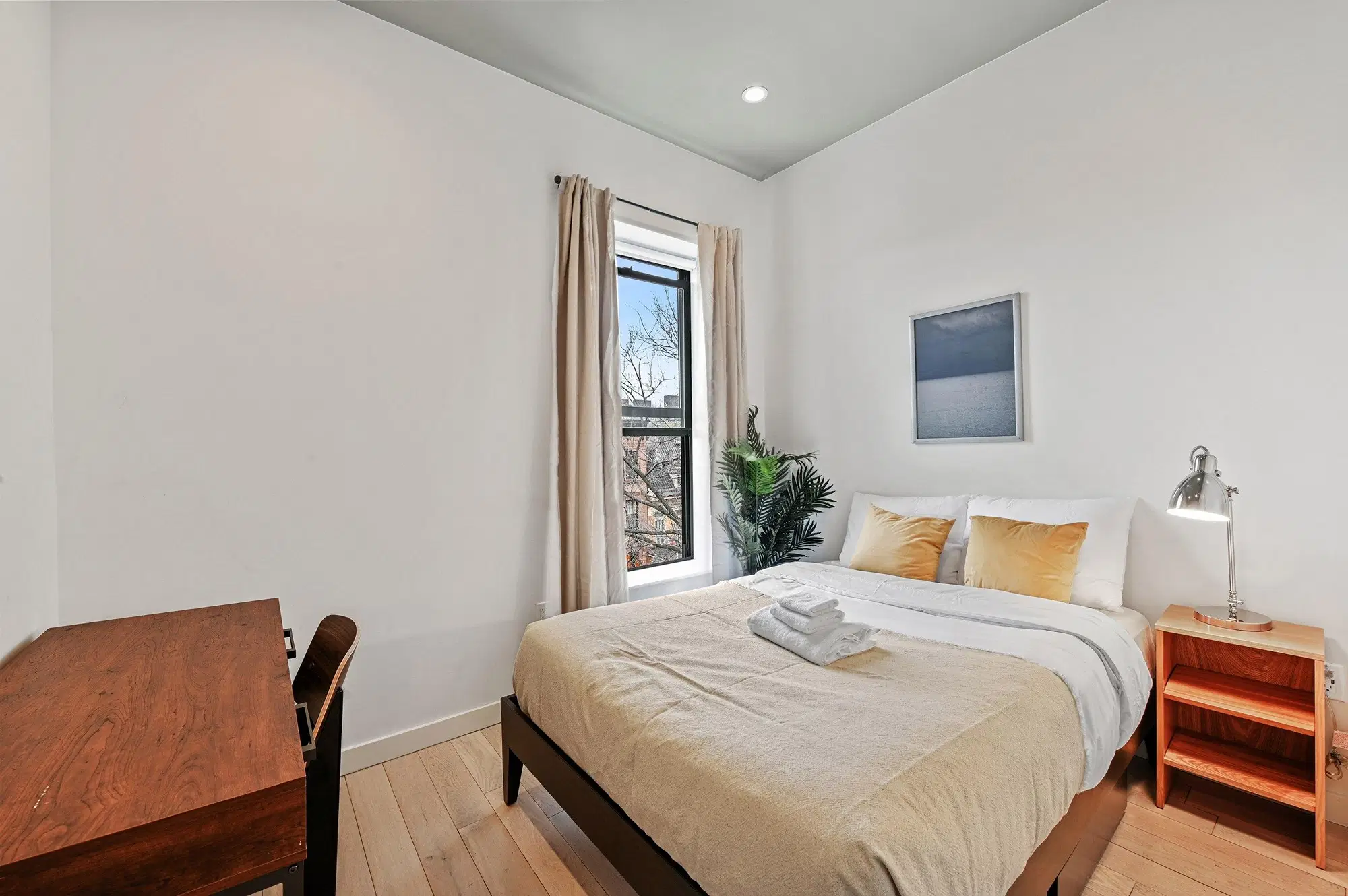 June Homes 11206, New York