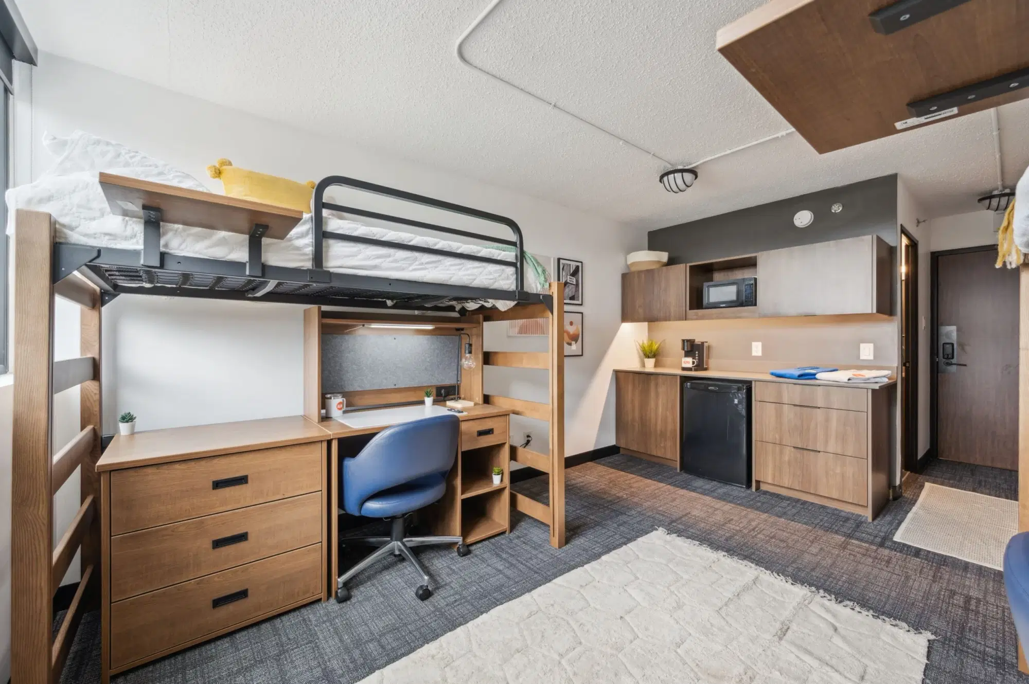 ALMA @ Guelph Student Housing, Guelph – Amenities