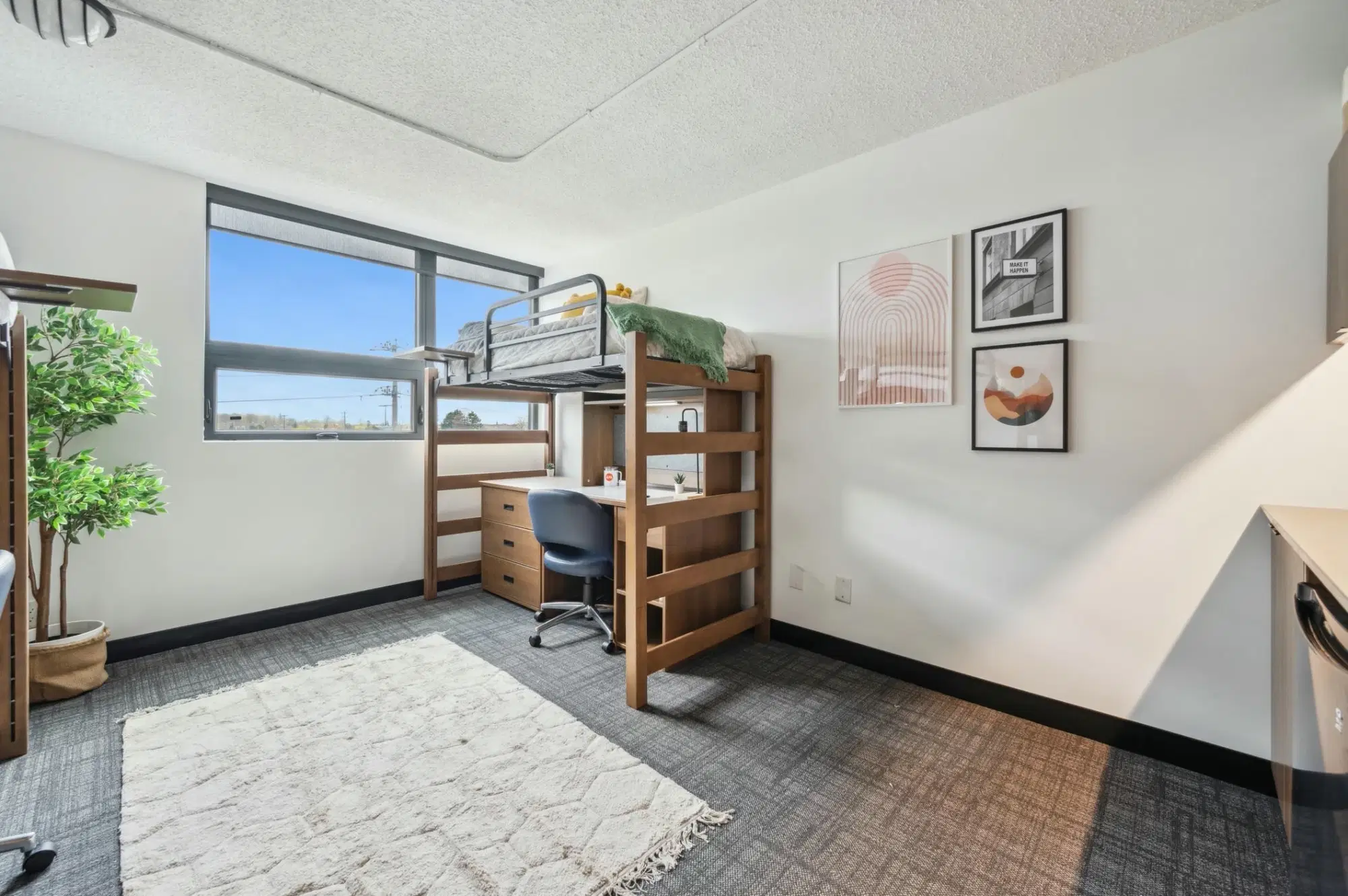 ALMA @ Guelph Student Housing, Guelph – Amenities