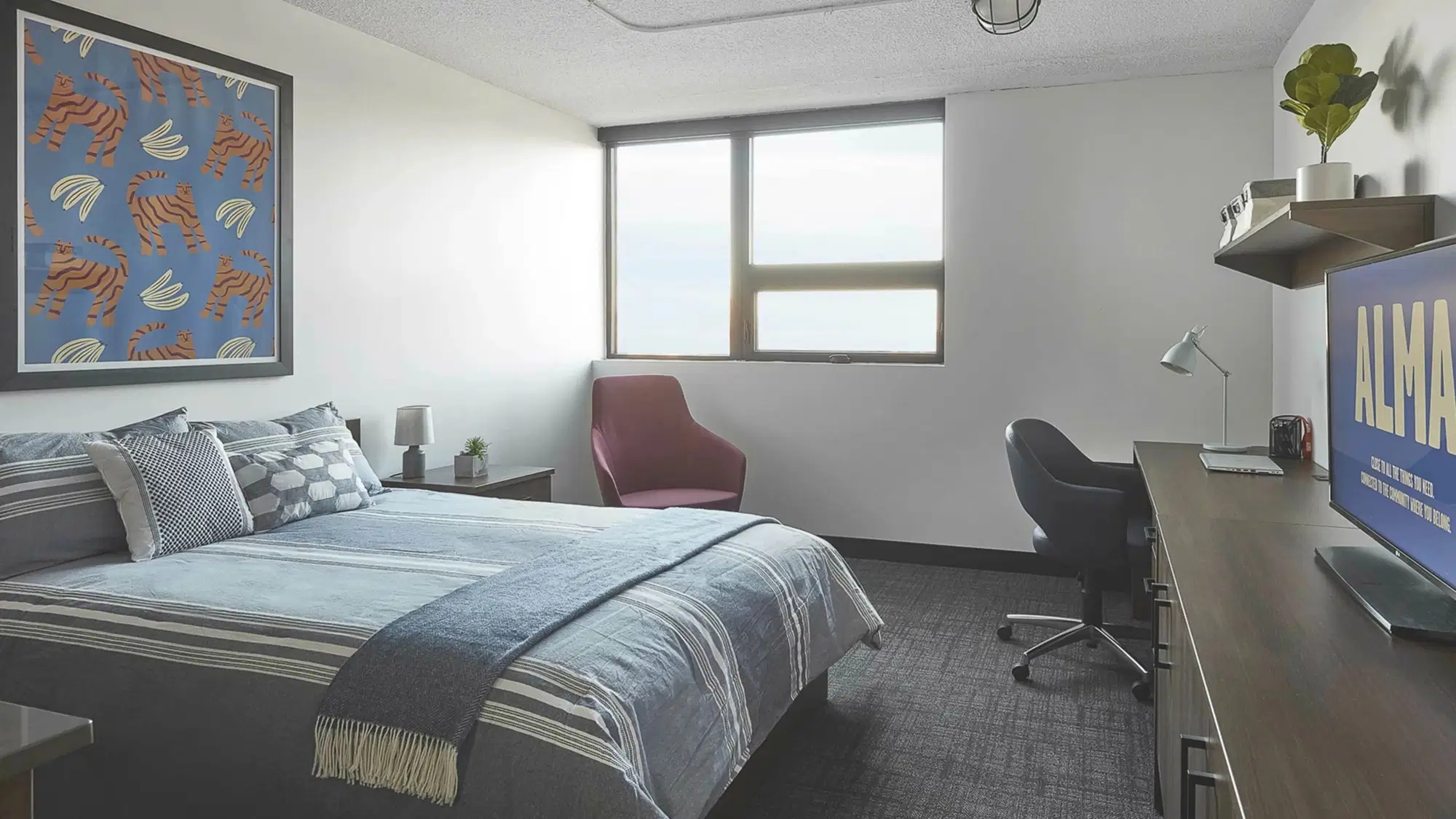 ALMA @ Guelph Student Housing, Guelph