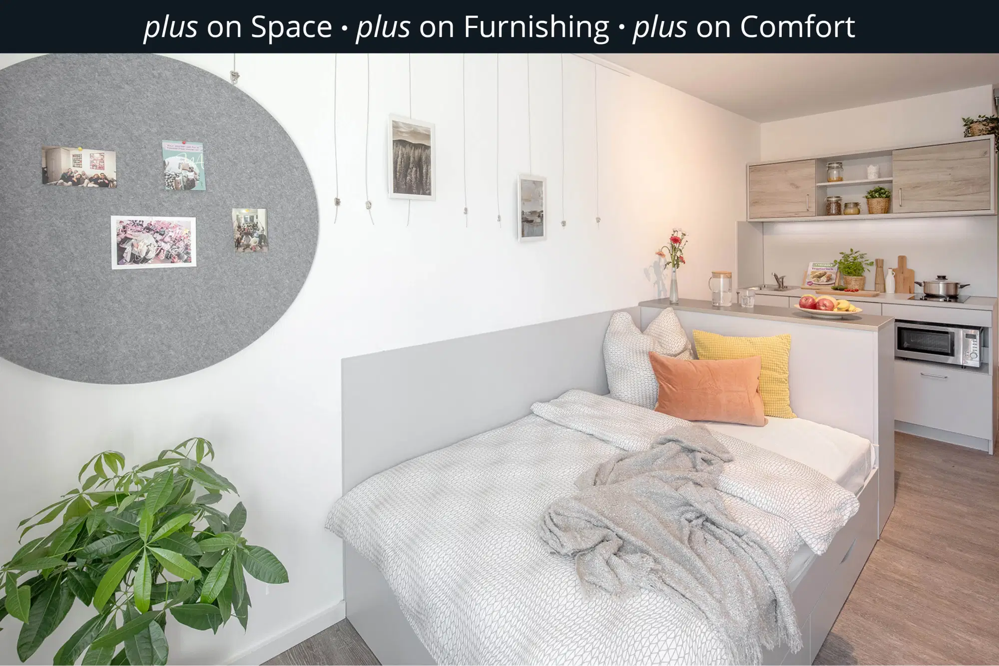 The FIZZ Hanover, Hanover – Single Studio Plus