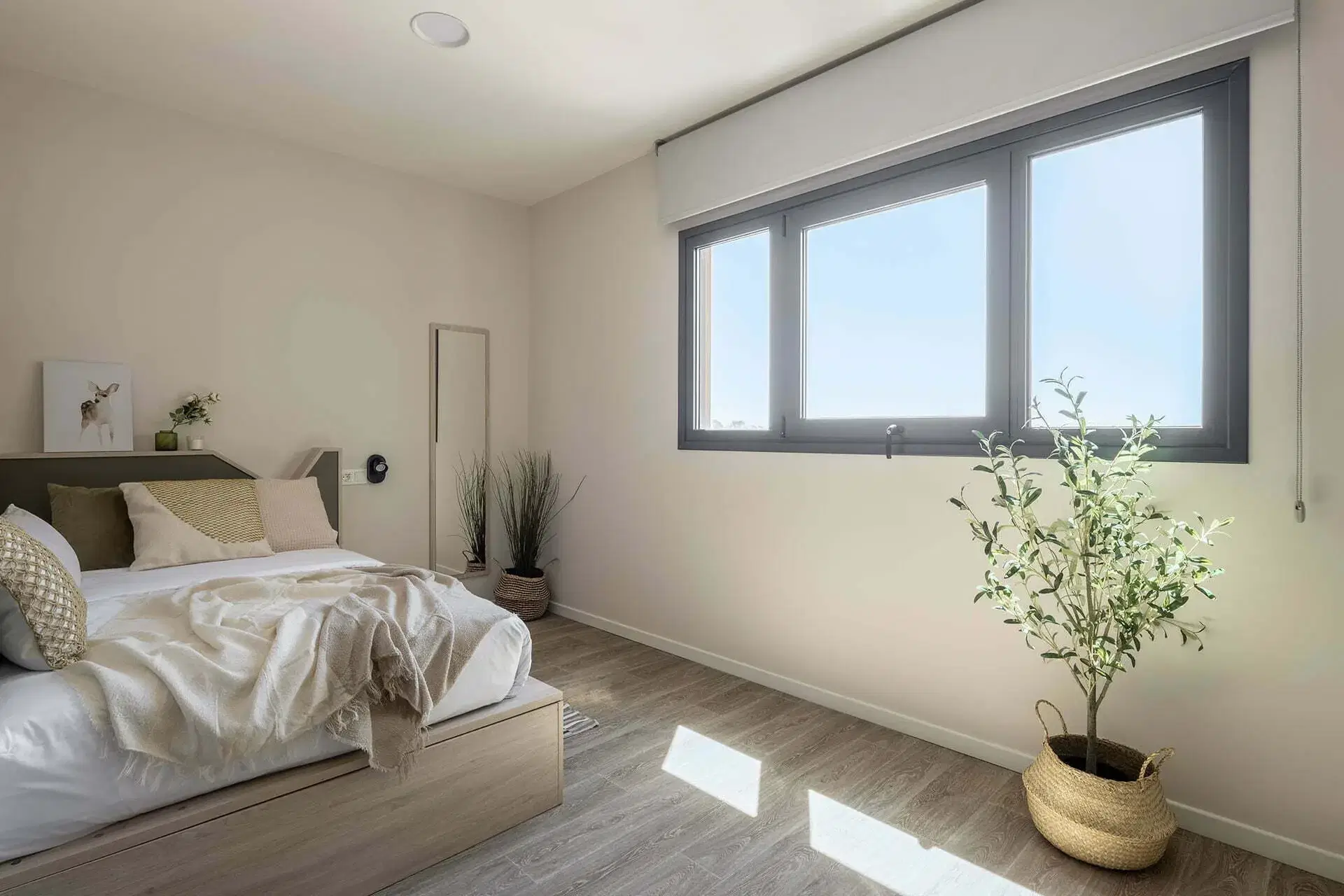 Amro Sevilla, Sevilla – Superior Studio