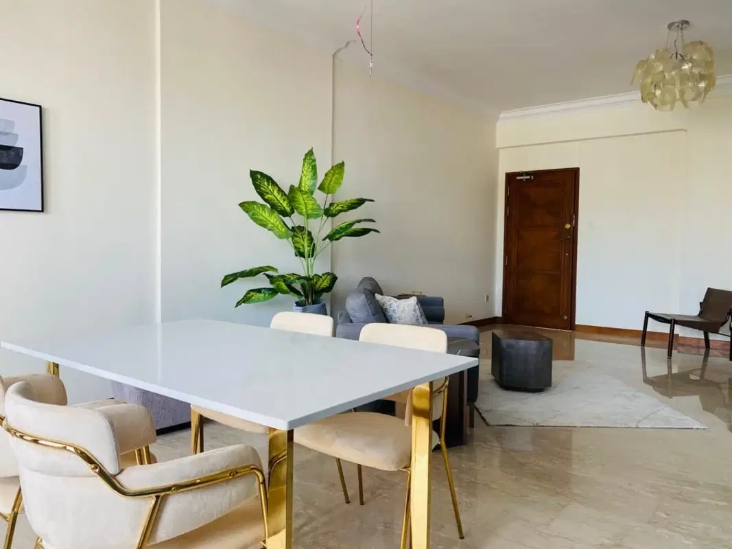 Room in a 3 Bedroom Apartment, 160 Killiney Road, Singapore 239568 – Common Area