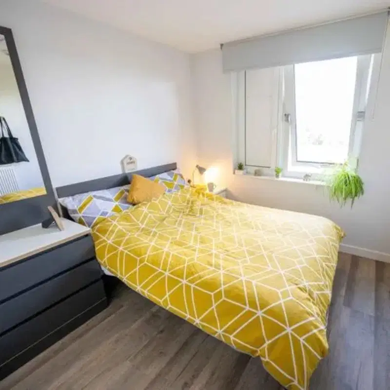 Westfield Court Student Accommodation, University of Hull, Kingston Upon Hull – One Bed Flat