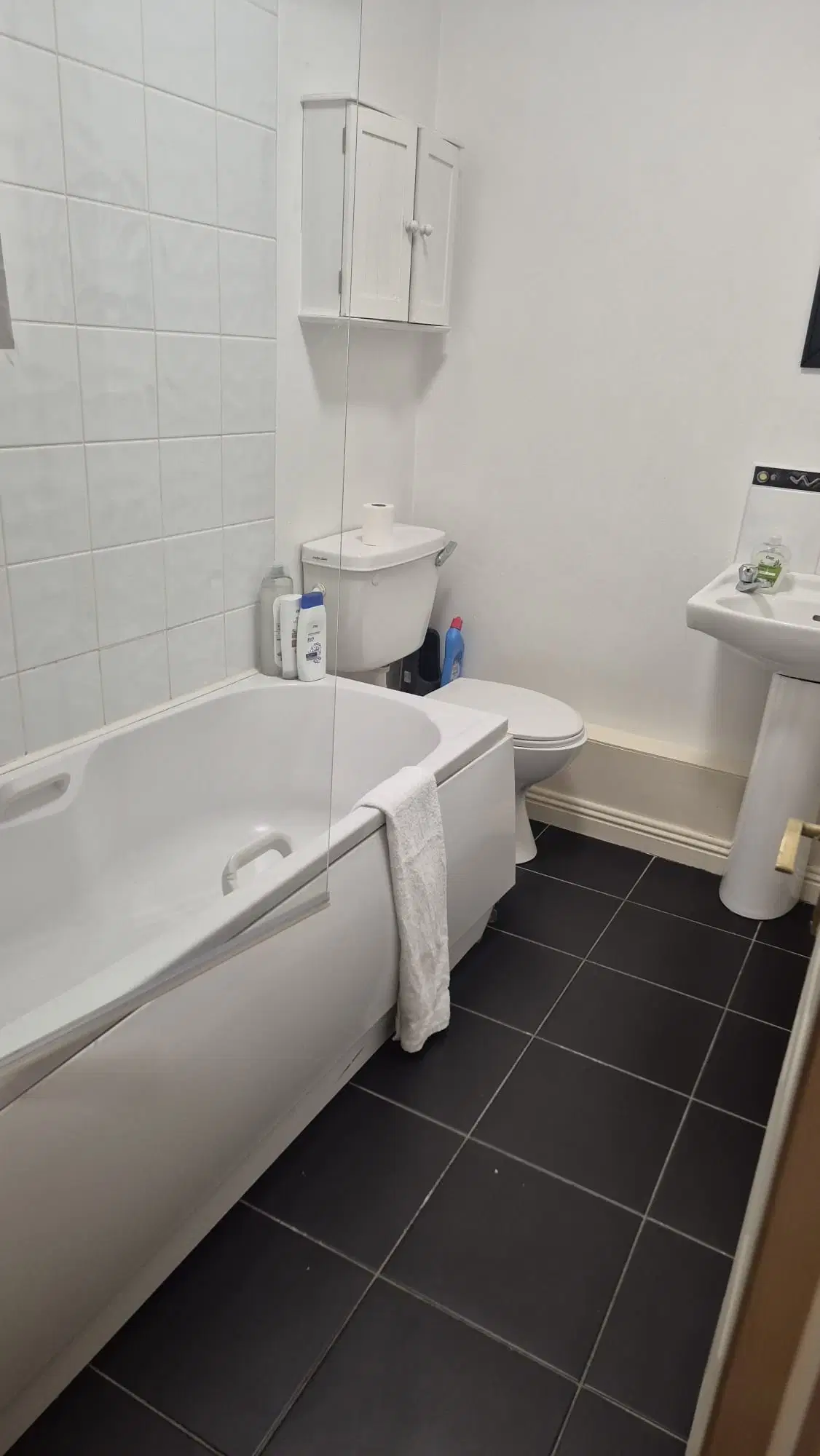 Room in a 2 Bedroom Apartment, 55 Mountjoy Square, Dublin 1 D01 DY79 – Bathroom