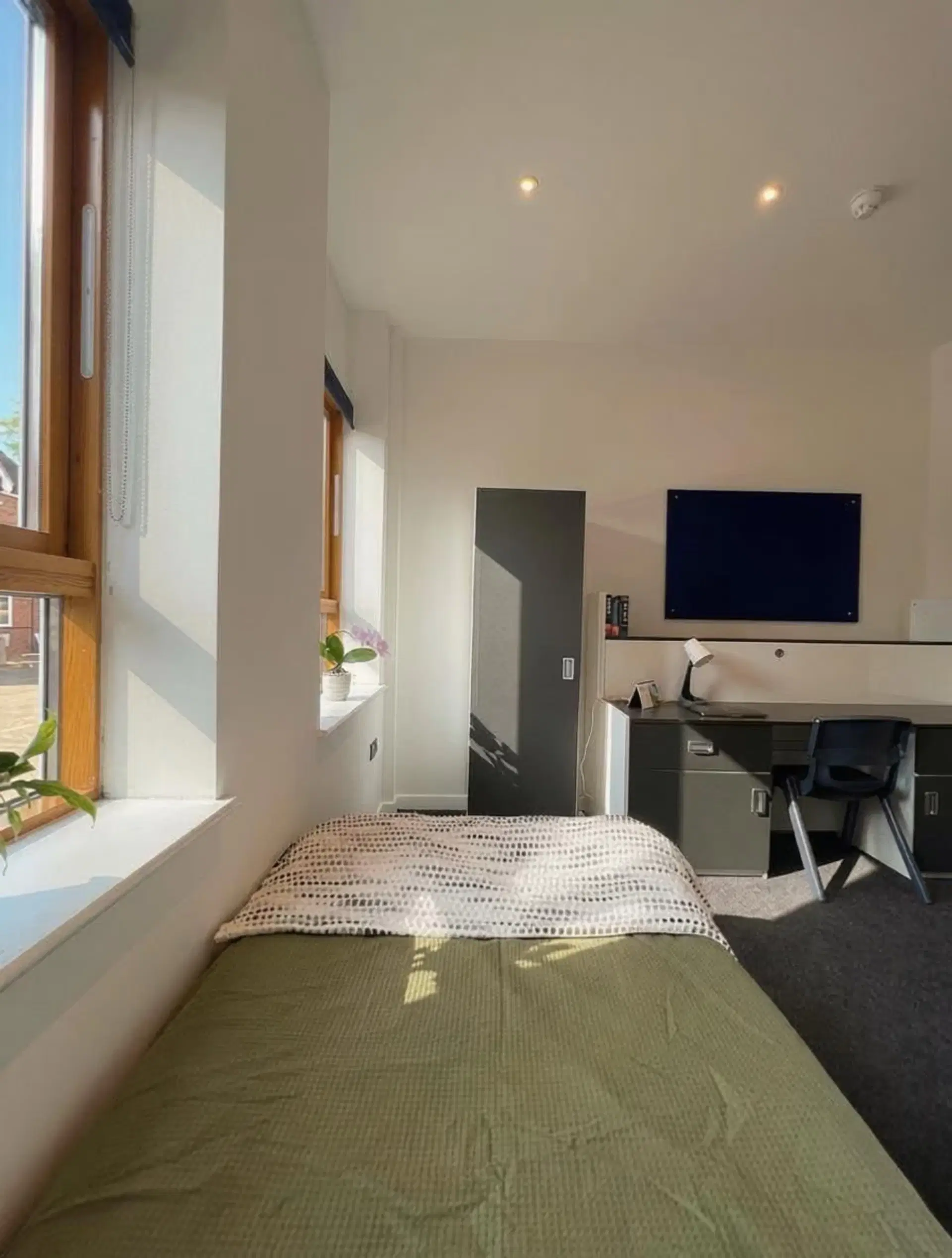 Holmes, Canterbury – Standard Ensuite