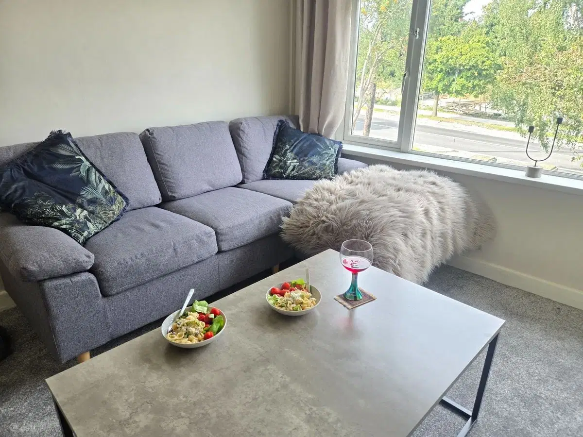Room in a 2 Bedroom Apartment, 4 Springfield Avenue, Dublin D6W DK38 – Common Area