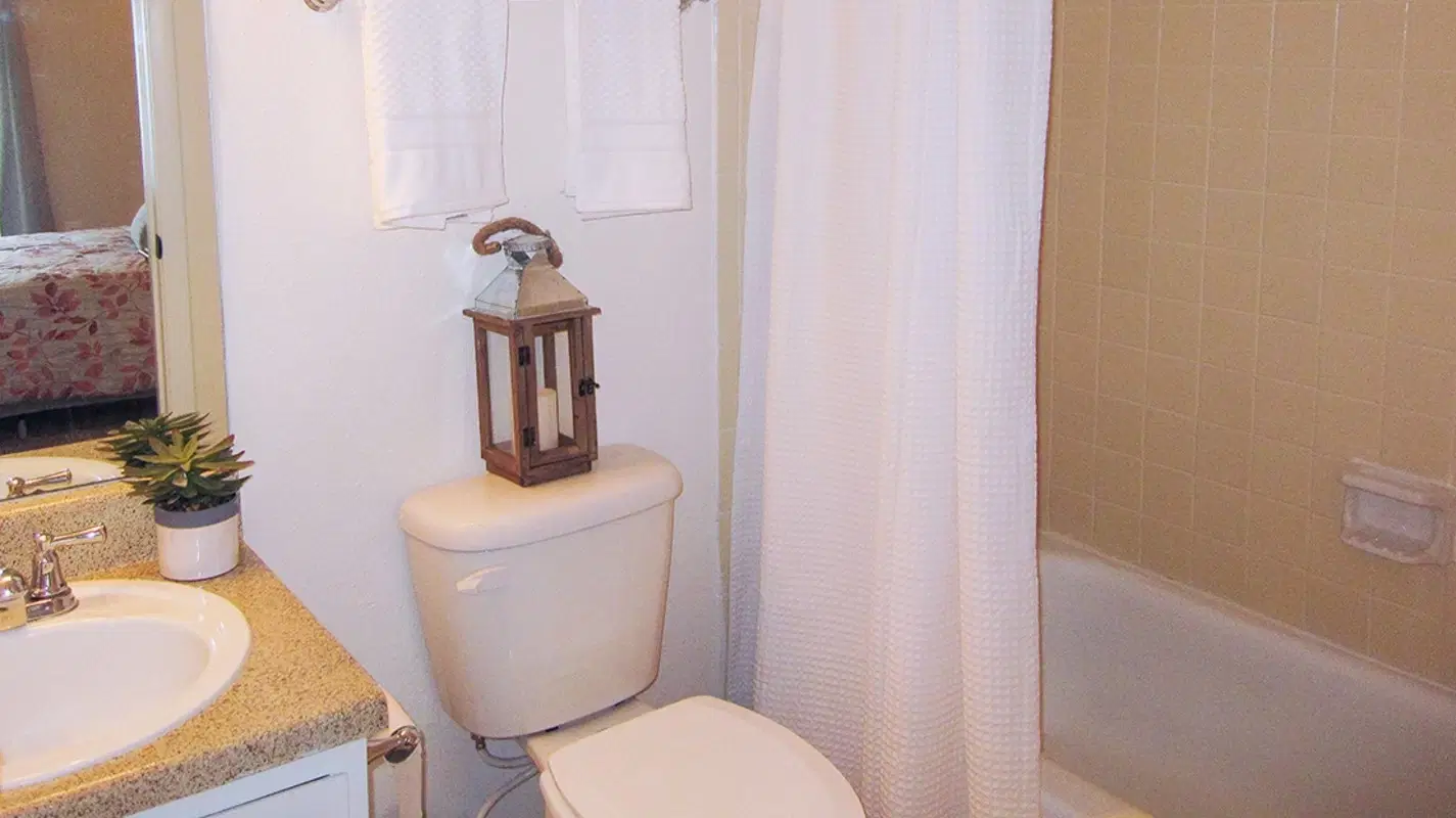 Overlook Apartments, Greenville – Bathroom