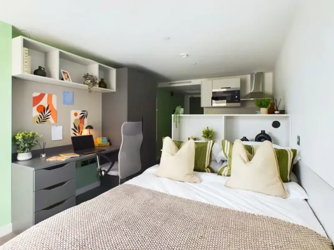 The Edge, Belfast – Gold Plus Studio