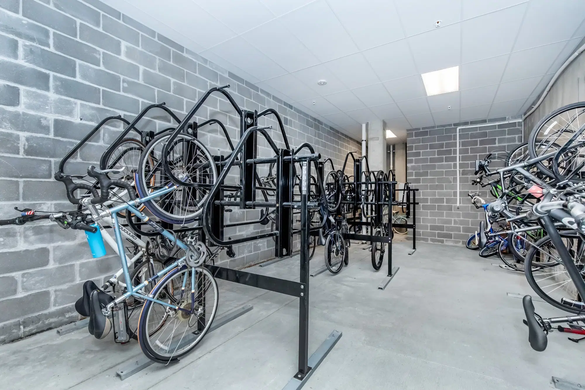 Ceylon Apartments, Clayton – Amenities