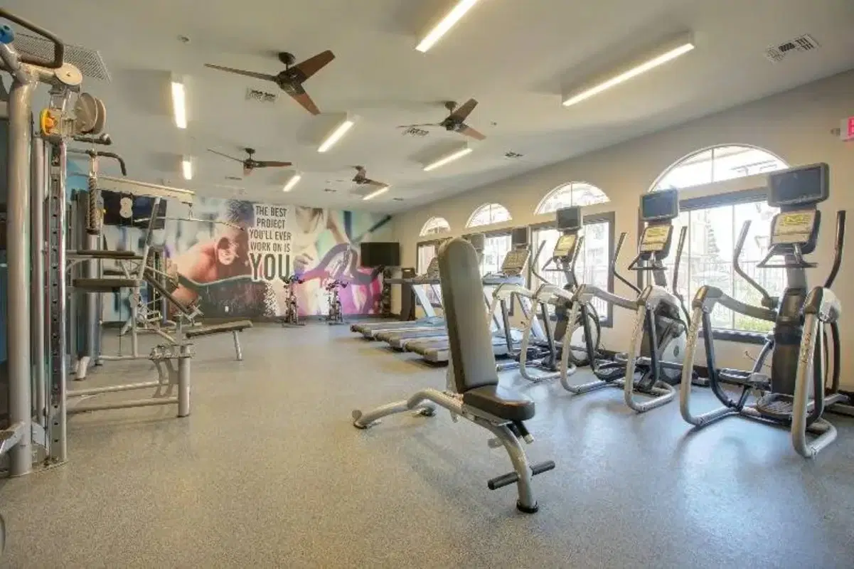 The U, Davis – Amenities