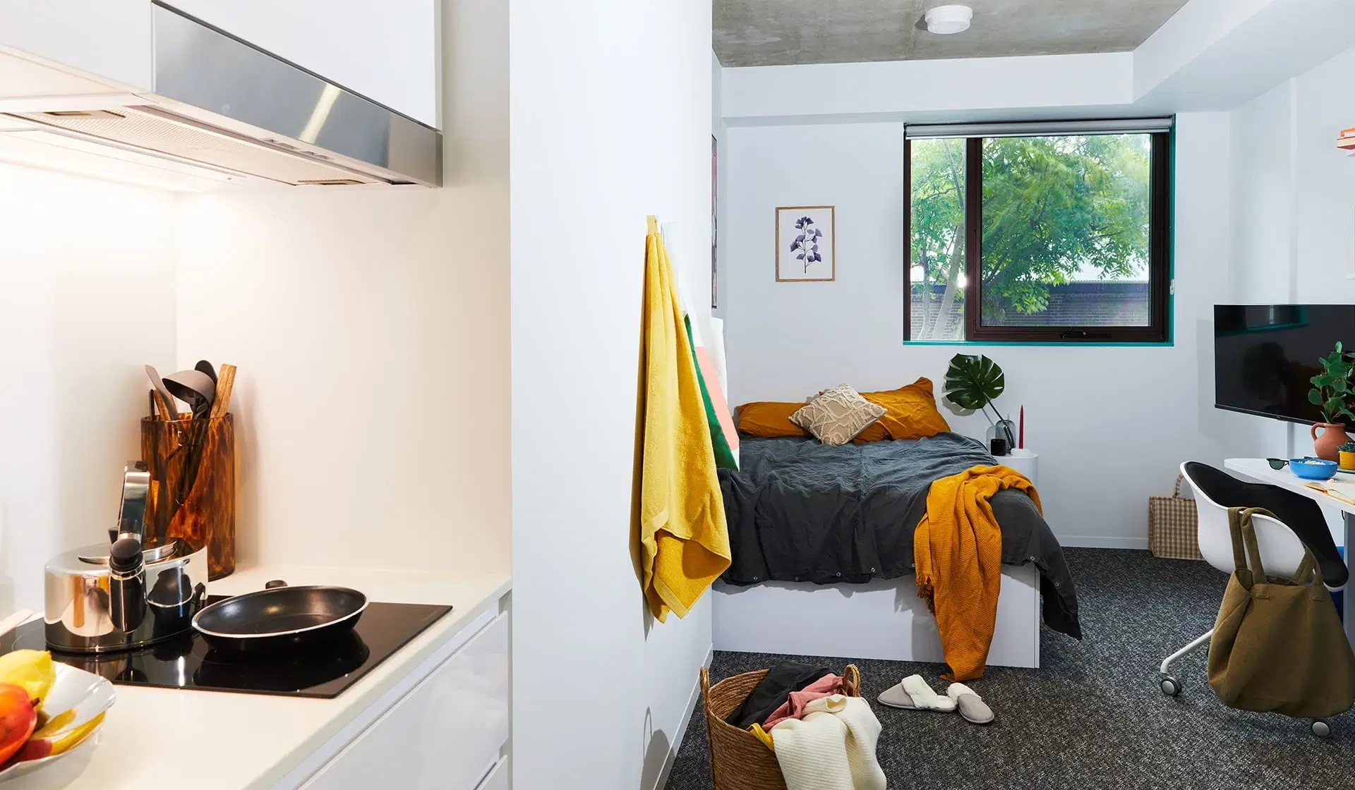 Scape Darlington, Sydney – Signature Plus Studio with Balcony
