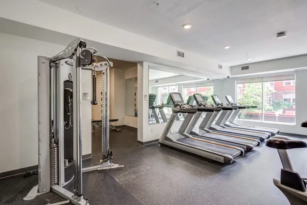 The Knoll Dinkytown, Minneapolis – Amenities