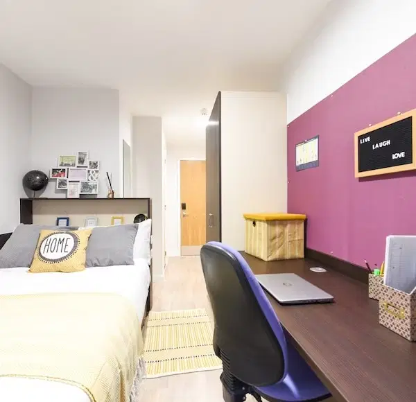 St Davids, Swansea – Ensuite Bronze - Large Kitchen