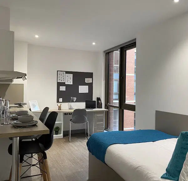 Great Patrick Street, Belfast – Studio Bronze - Accessible